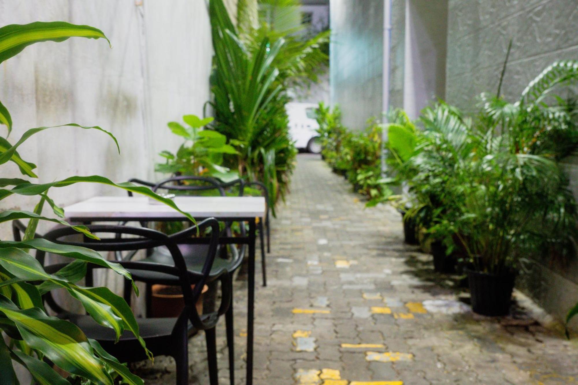 The Park House Hotel Male Luaran gambar